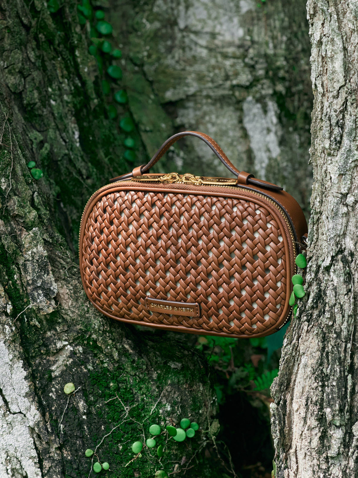 CHARLES & KEITH Signature | Azure Woven Crossbody Bag - Chocolate