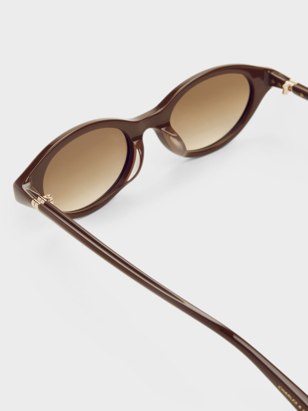 CHARLES & KEITH Exclusive | Pecola Oval Sunglasses - Pecan Brown