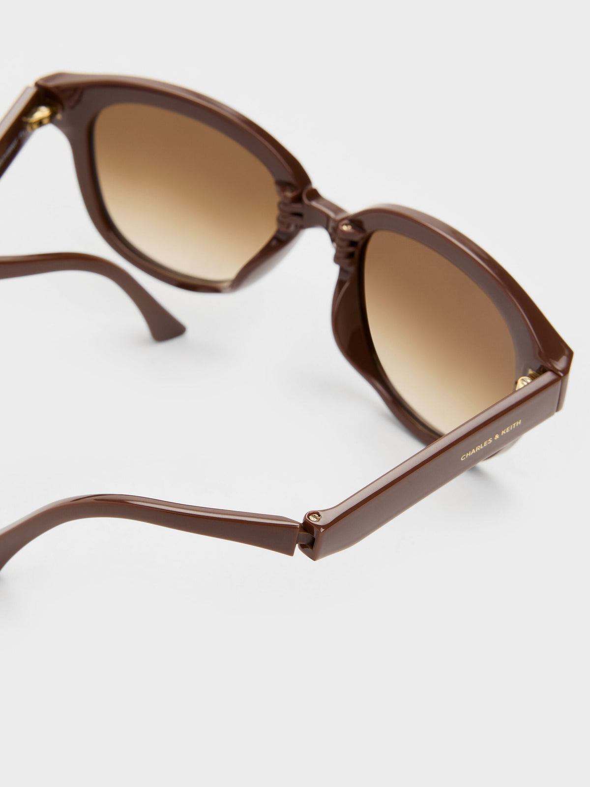 CHARLES & KEITH Great Value | Brea Round Sunglasses - Pecan Brown