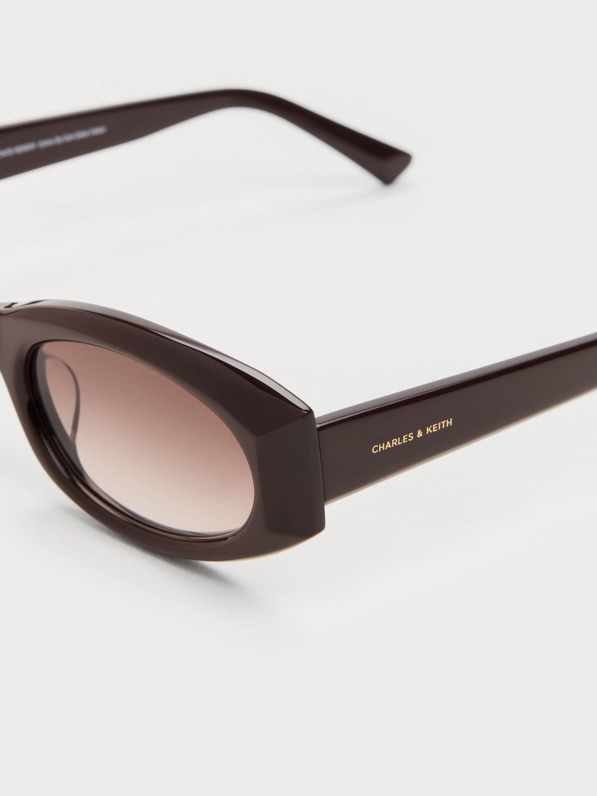 CHARLES & KEITH Value | Aubrey Oval Sunglasses - Espresso Brown