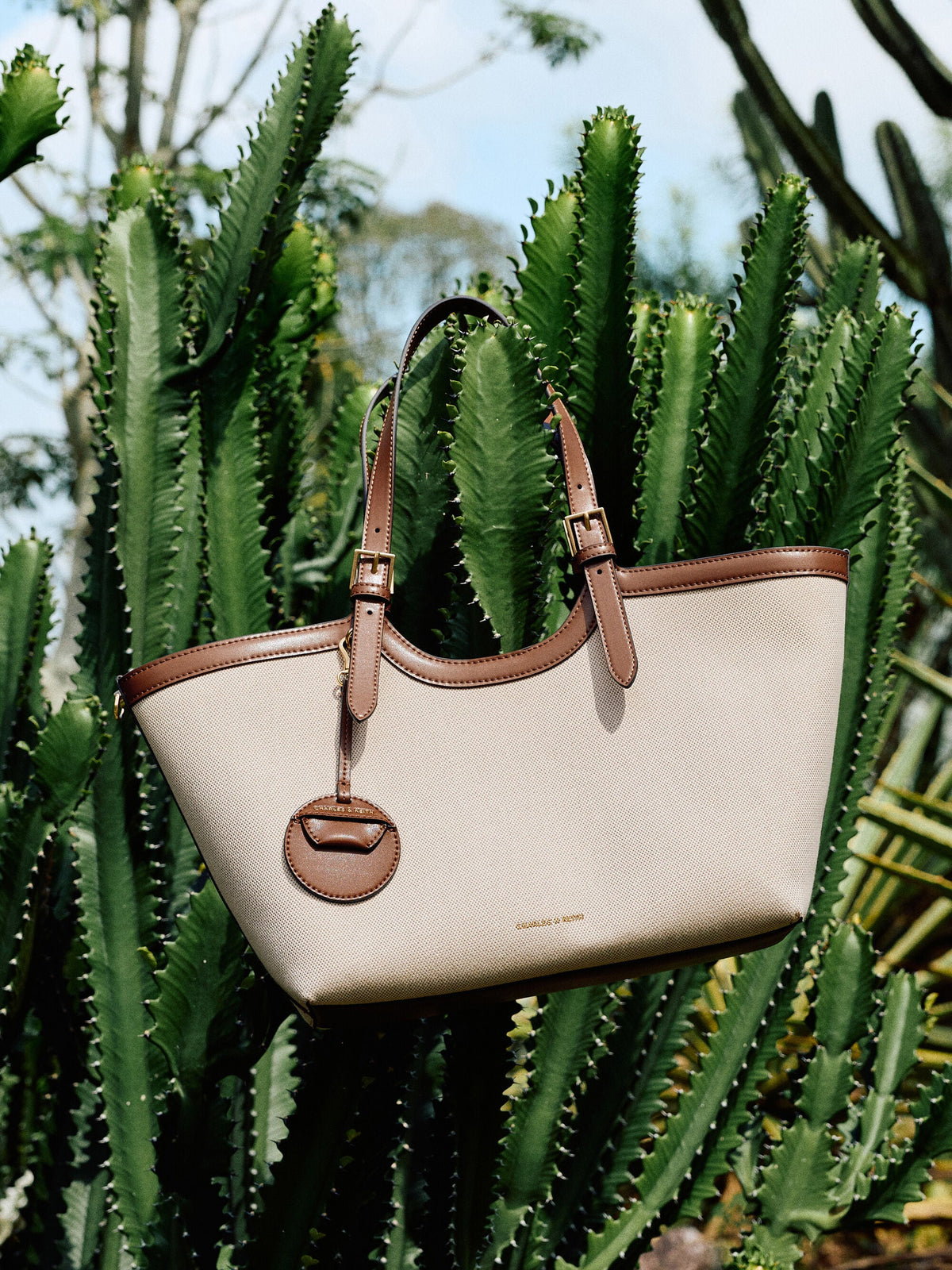 CHARLES & KEITH Classic | XL Enola Canvas Tote Bag - Chocolate