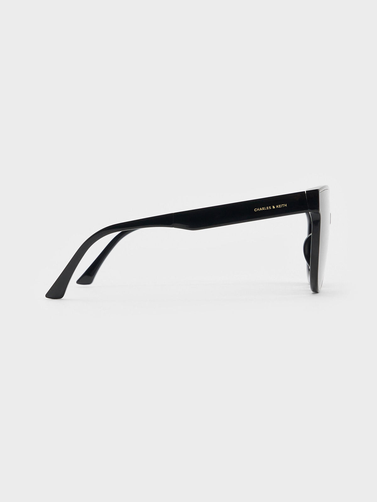 CHARLES & KEITH Popular | Brea Foldable Aviator Sunglasses - Black