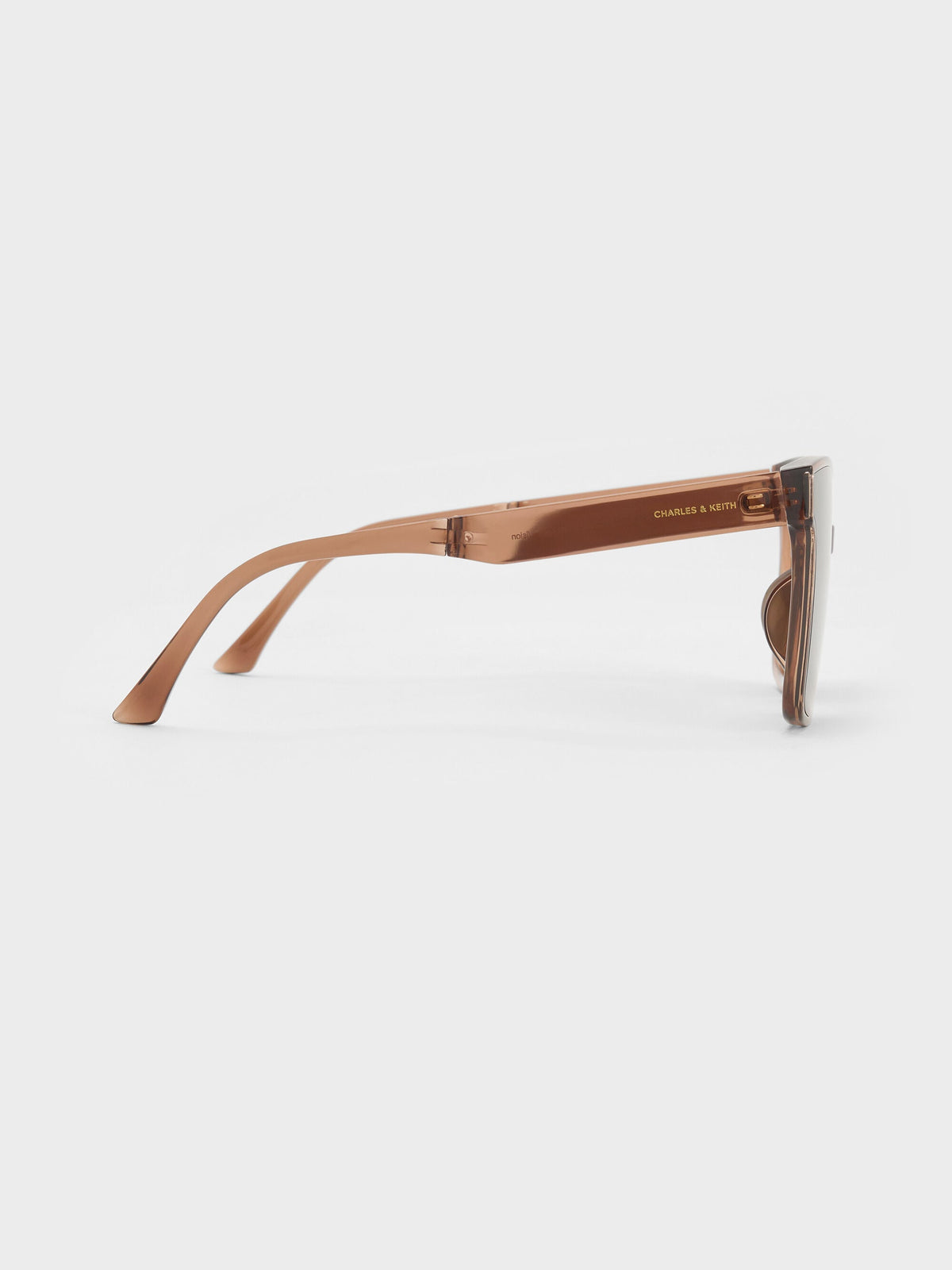 CHARLES & KEITH Recommended | Brea Foldable Sunglasses - Chestnut Brown