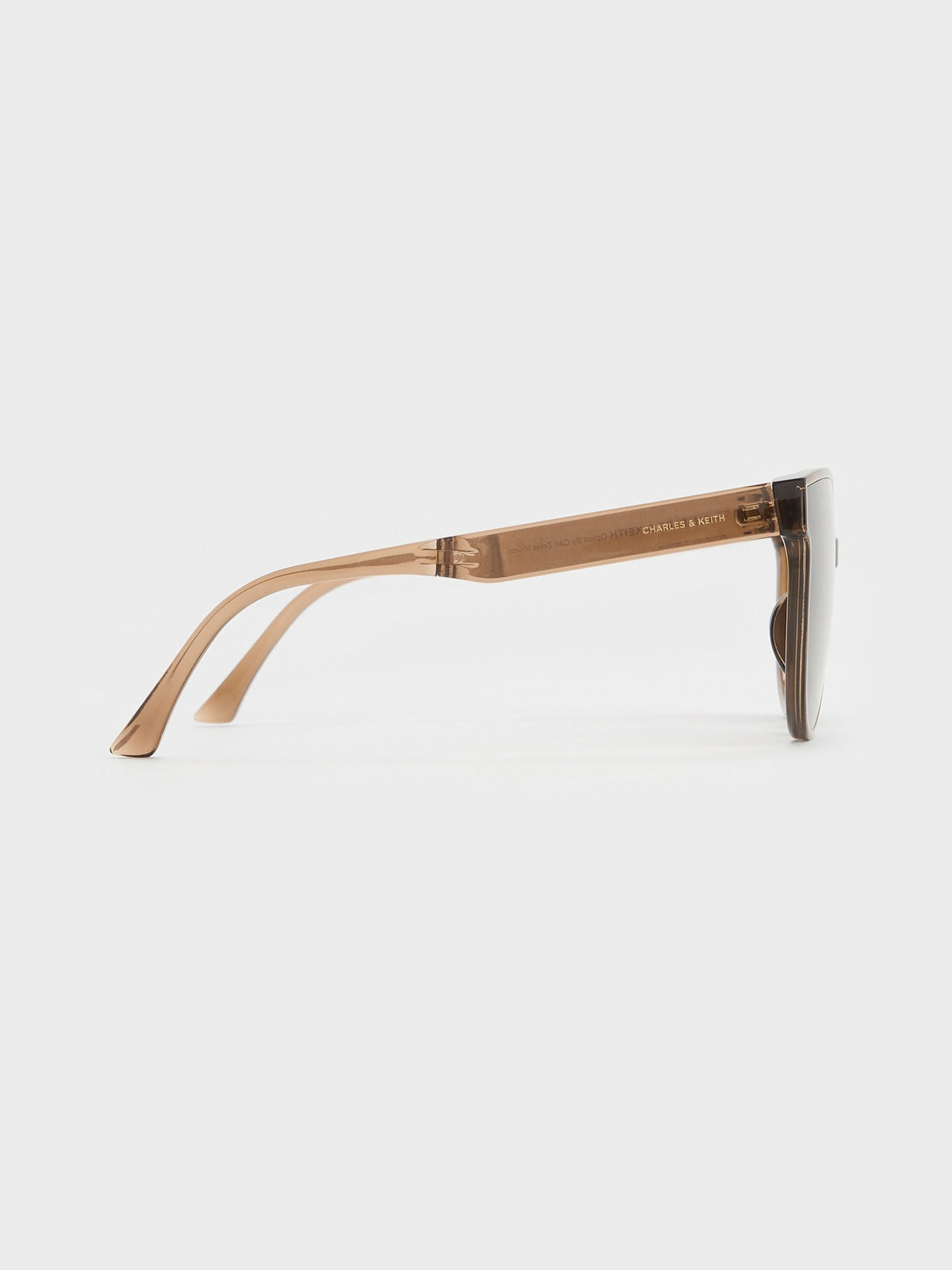 CHARLES & KEITH Featured | Brea Foldable Aviator Sunglasses - Chestnut Brown