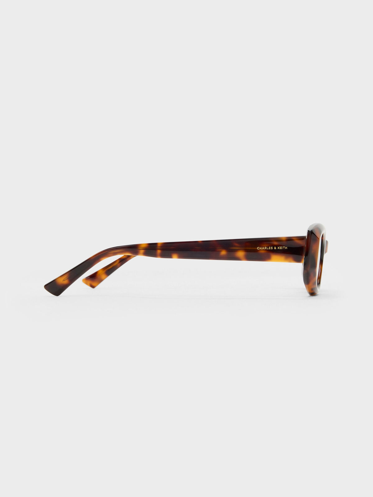 CHARLES & KEITH Best Price | Aubrey Oval Sunglasses - T. Shell
