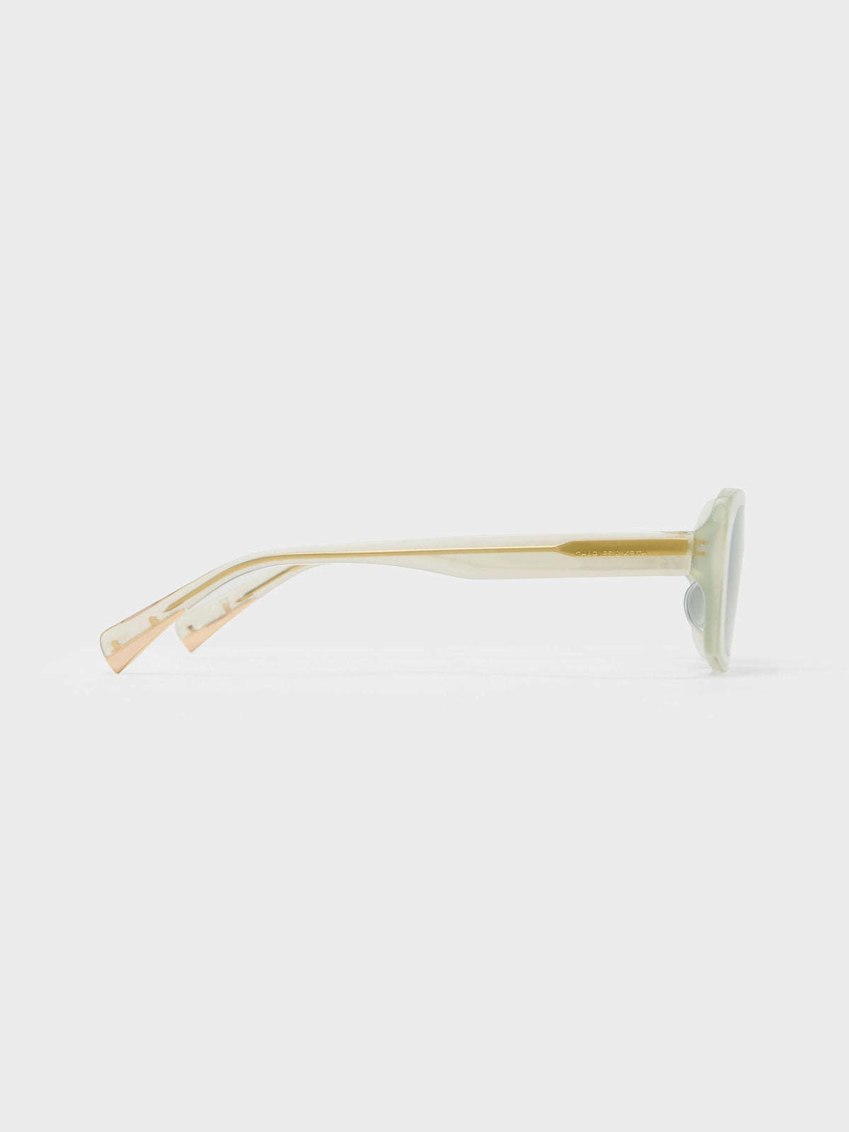 CHARLES & KEITH Signature | Aubrey Rectangular Sunglasses - Mint Green