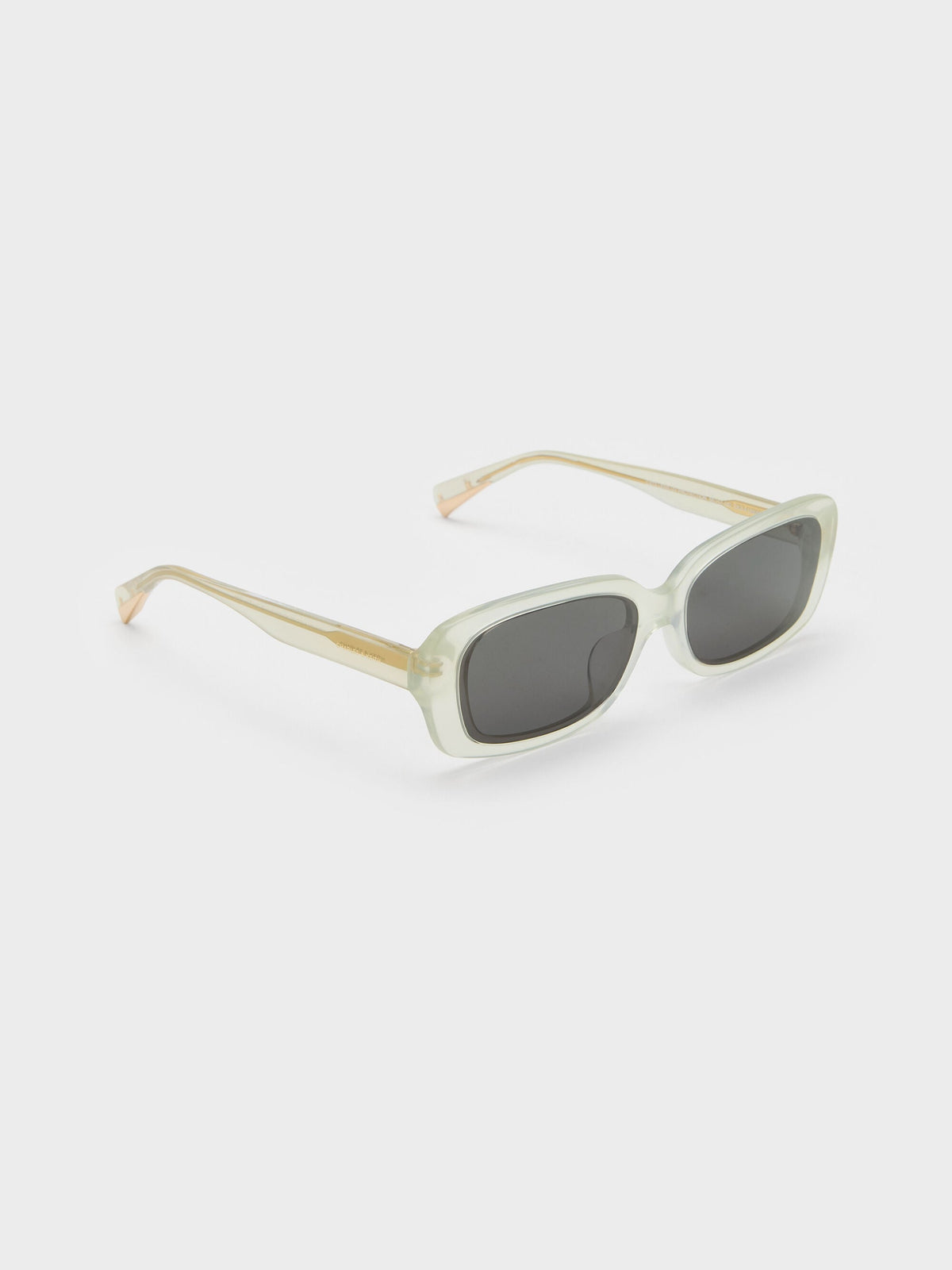 CHARLES & KEITH Signature | Aubrey Rectangular Sunglasses - Mint Green